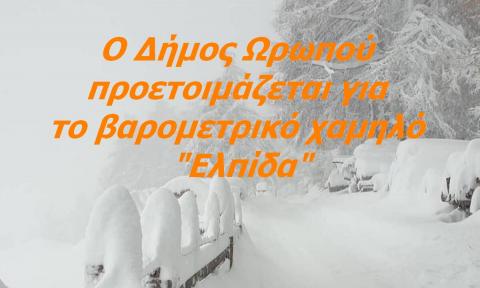 elpida_1_22