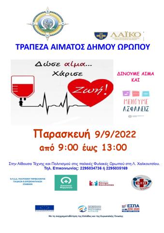 aimodosia_9_22