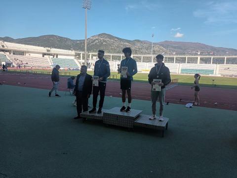 lempousis_2022