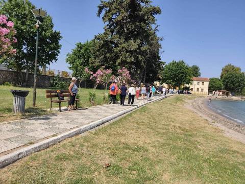 zaxaro_2022